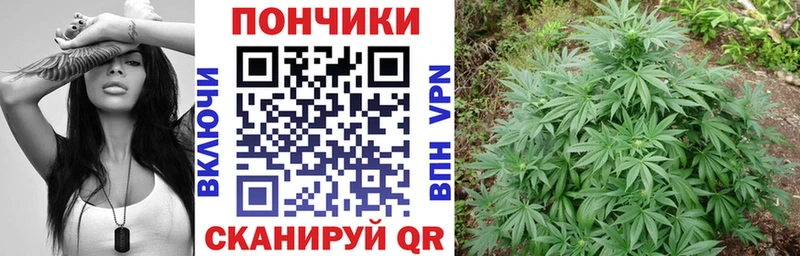 Марихуана Алейск
