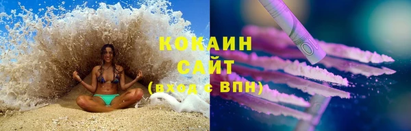 индика Абаза