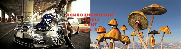 тгк Абдулино