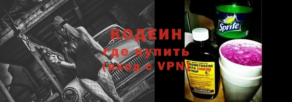 индика Абаза