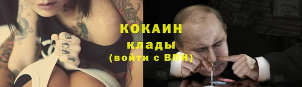 индика Абаза