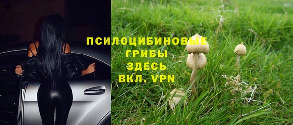 гидропоника Абинск