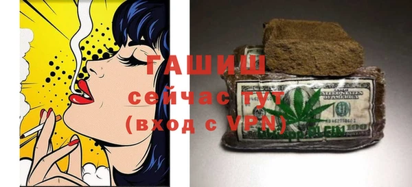 индика Абаза