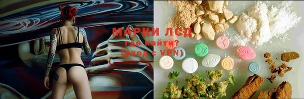 индика Абаза