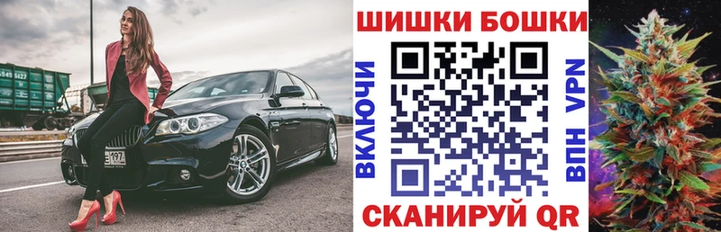 наркотики  Алейск  Каннабис конопля 